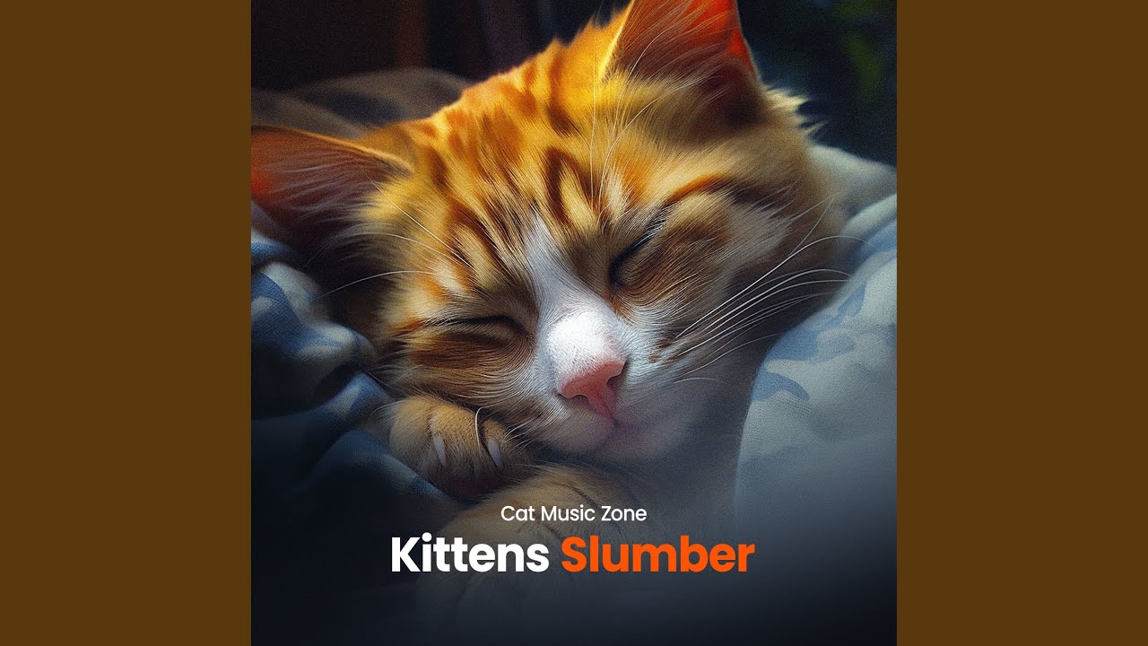 Thursday Purrfect