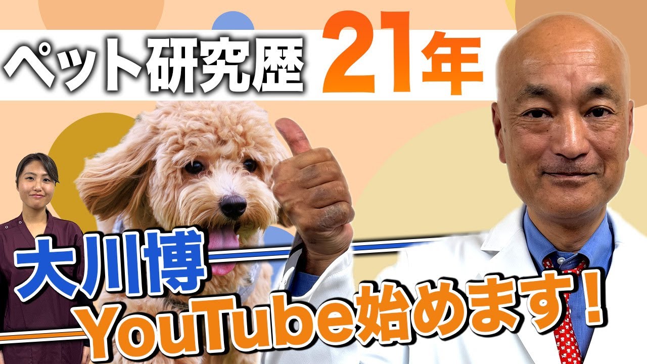 ペットとの暮らしにスマイルを！世界22ヶ国の動物病院を見てきたスペシャリストの自己紹介！