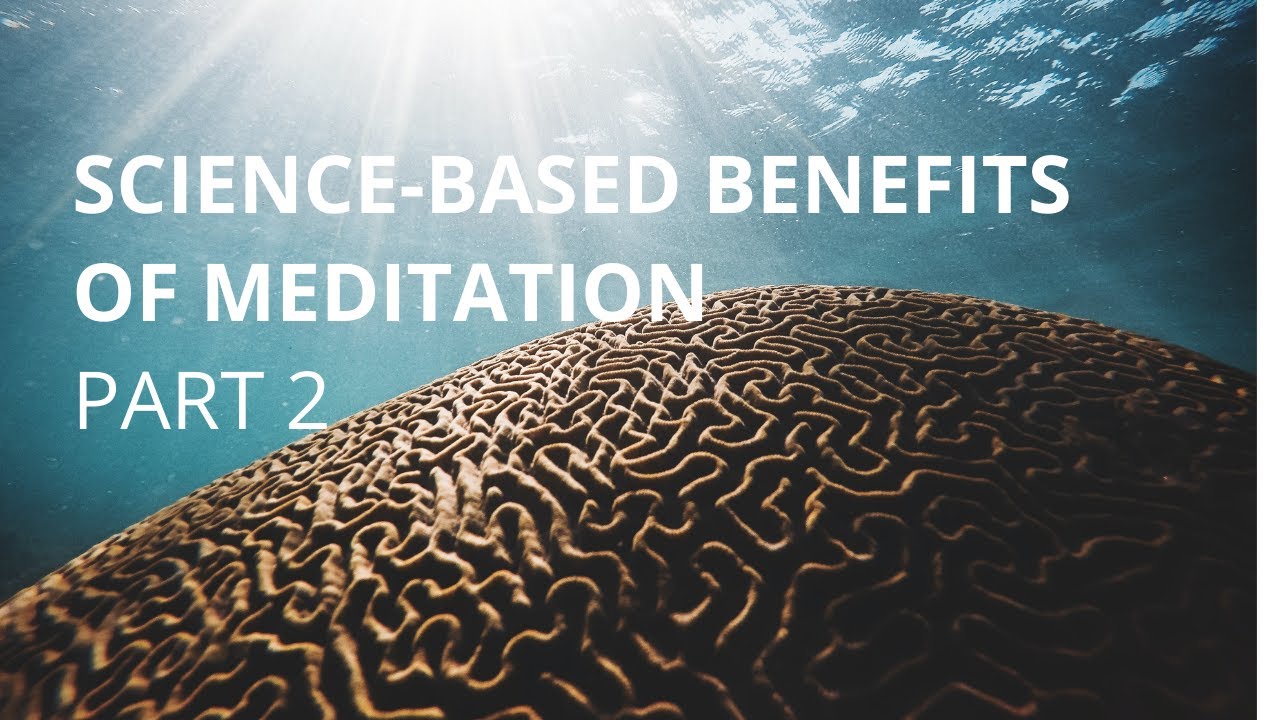 Science-based Benefits of Meditation, part 2: How Stress Gets Under Your Skin