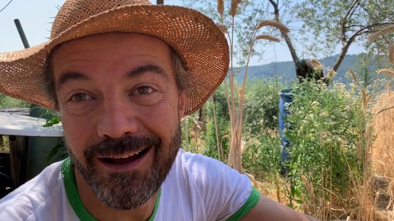 Sul Garda, la Riscoperta dei Grani Antichi (con relative farine)
