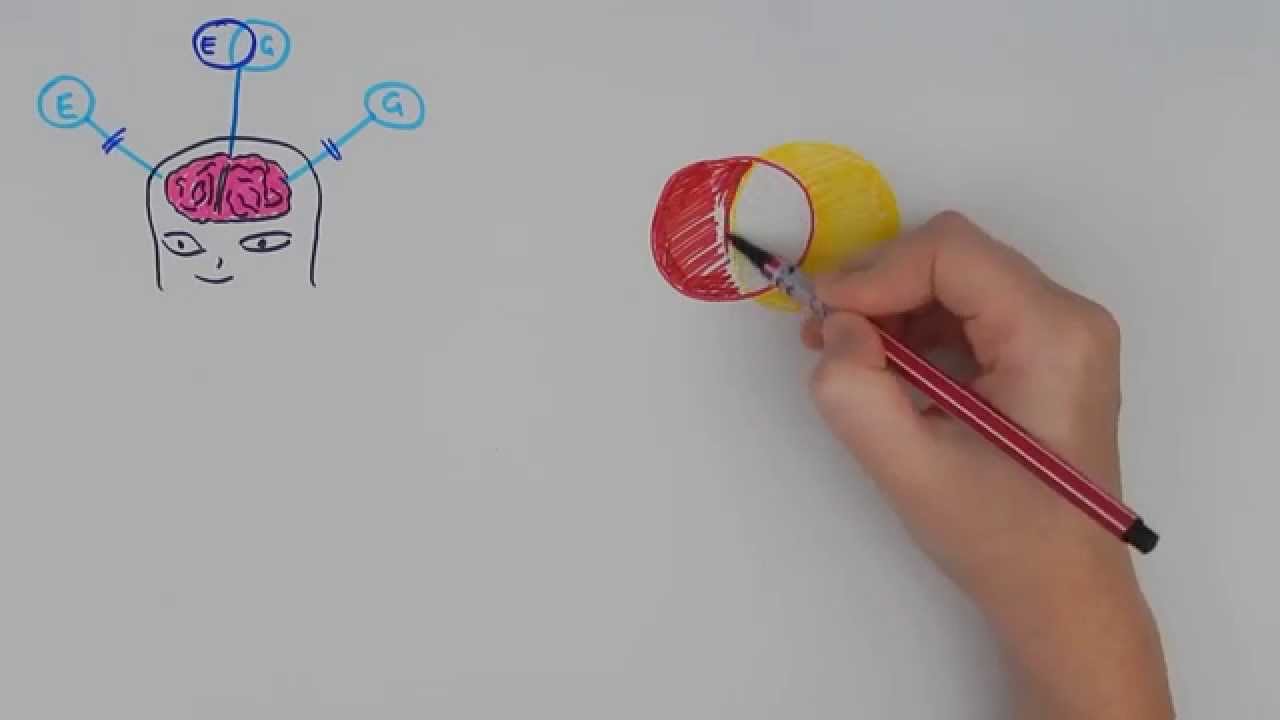 Language influences Thought? - Linguistic Relativity