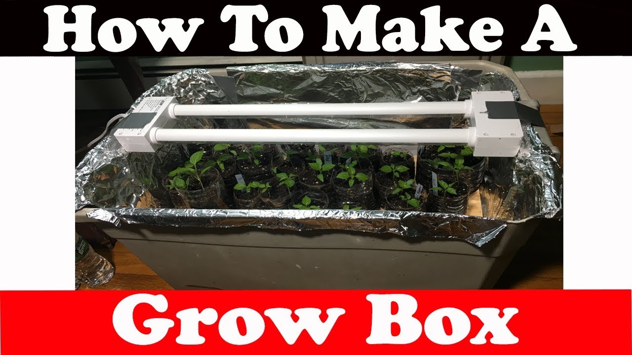 How to build a grow box for plants (Mini Greenhouse)