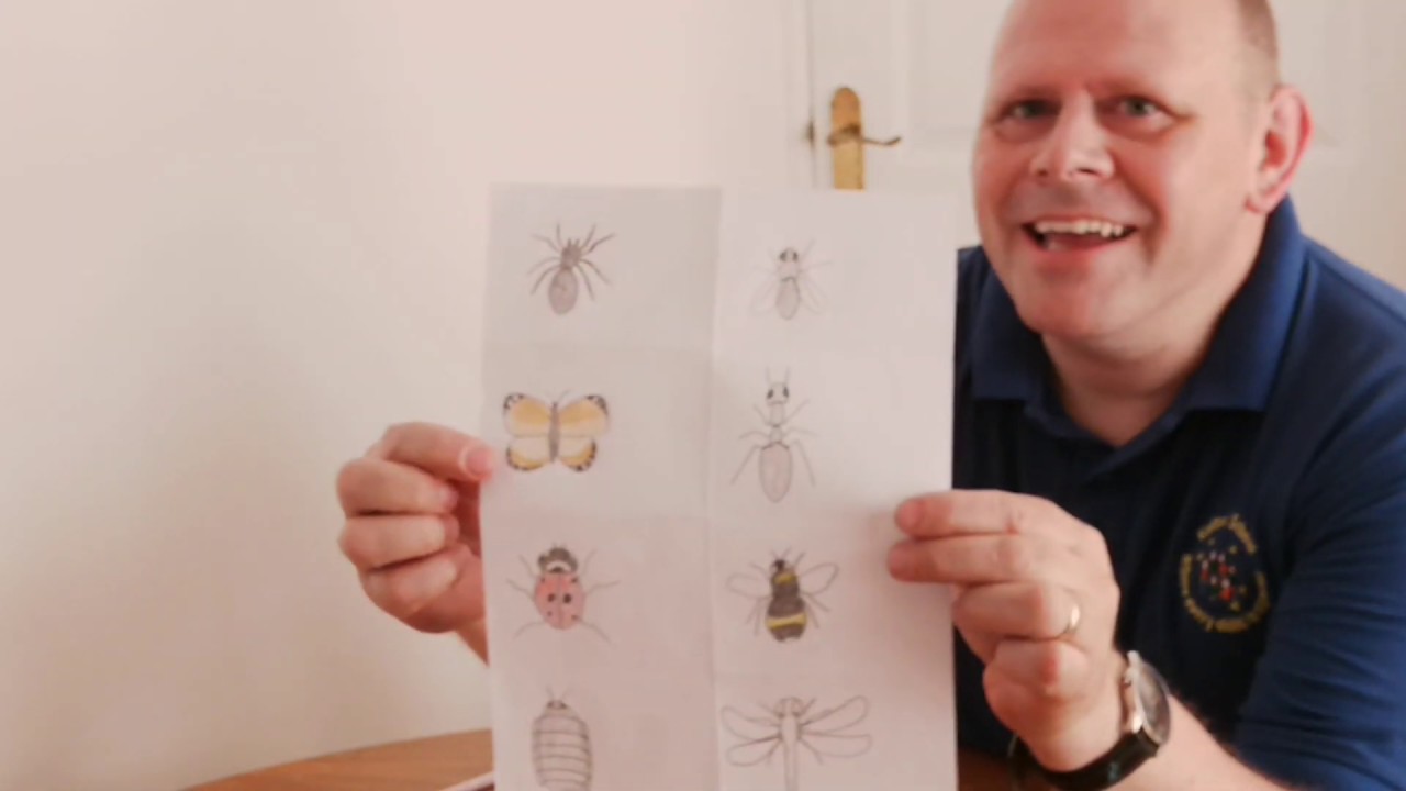 Discovering with Stuart - Minibeast Hunt