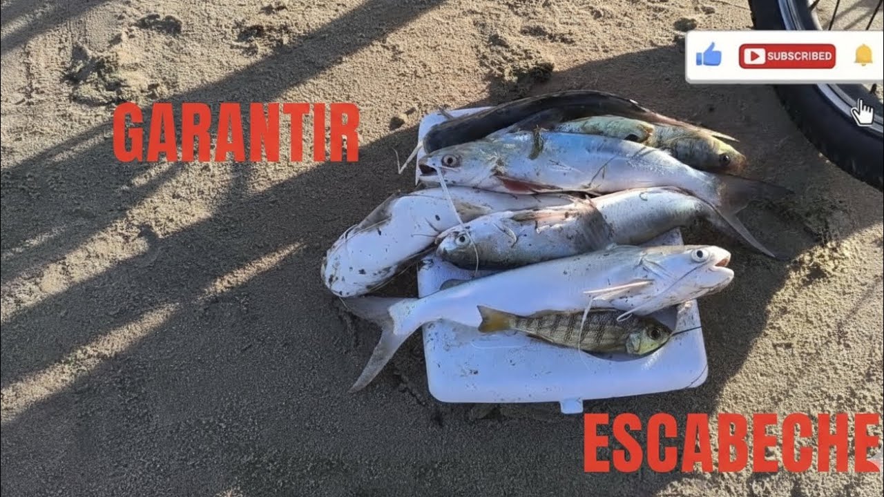 MESMO NA Dificuldade consegui o Escabeche 🐟🎣