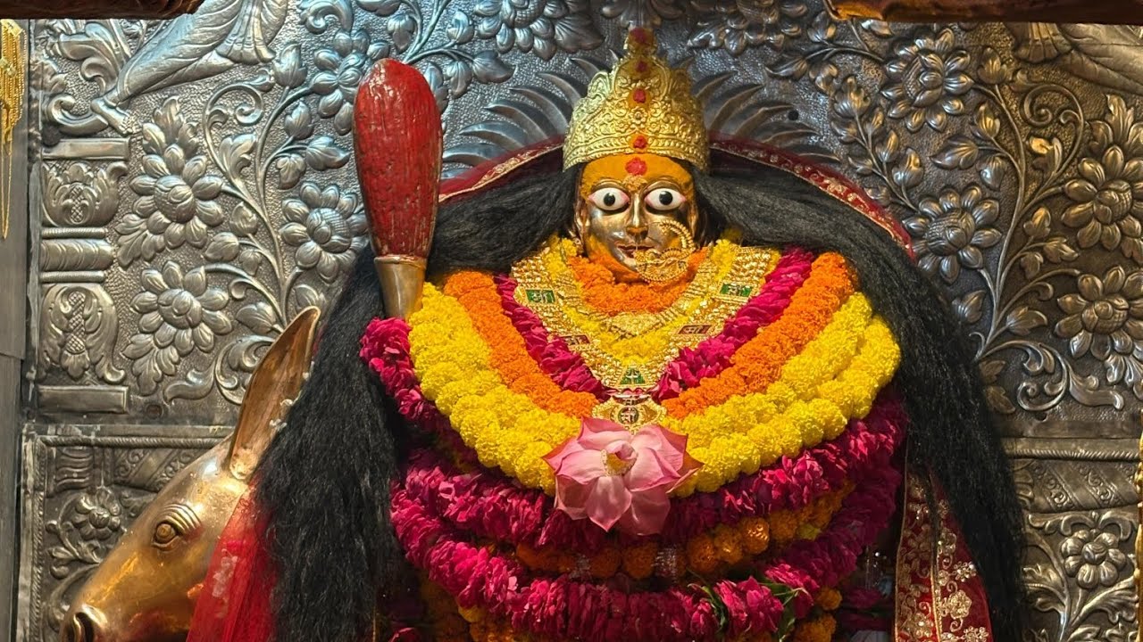 🙏51शक्तिपीठ मां शीतला 2 मिनट दर्शन करने से रोग शत्रु बाधा दूर होता हैं 🚩🙏🪔#youtubeshorts #shyam 