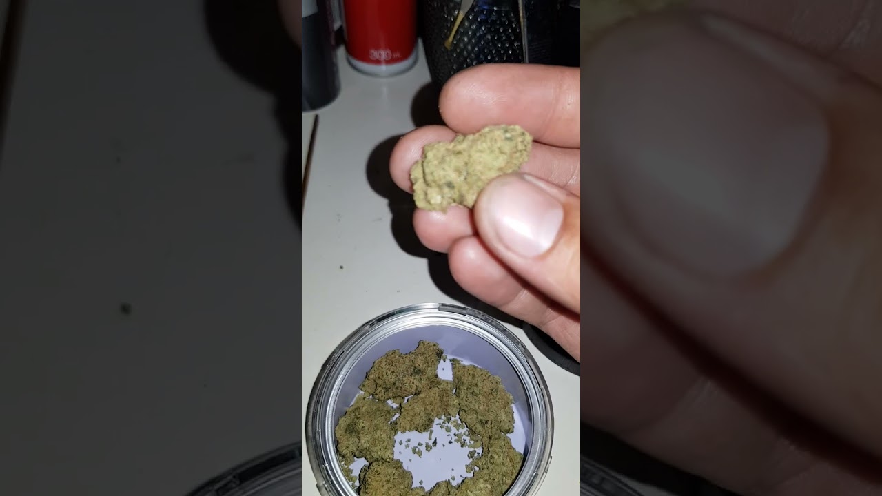 Sativite Kannbi Live Soil Organic - Blueberry OG 25% Over rated Over Priced but a still a Terp Bomb🔥