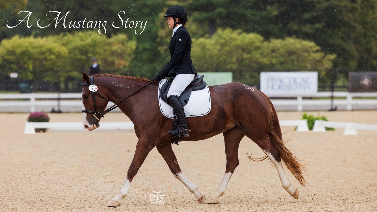 A Mustang Journey- Pixel's Story (Wild Mustang Training)