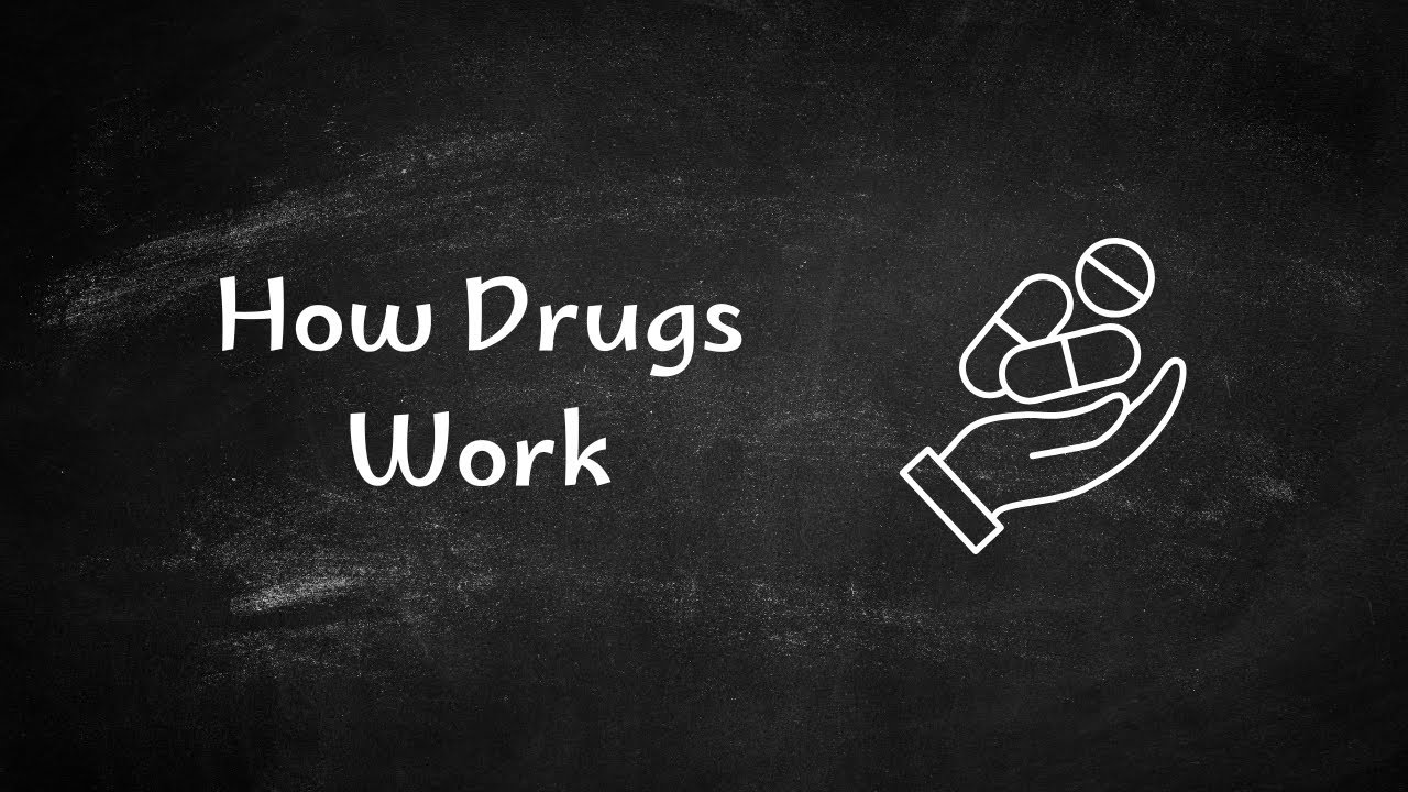 Pharmacology & Drug Development Explained | How Medicines Are Made & Work