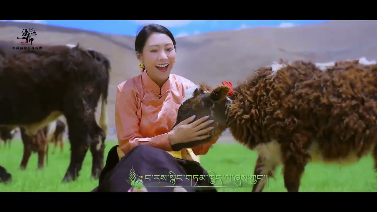 Tibetan song ངྲན་གླུ།(思念)