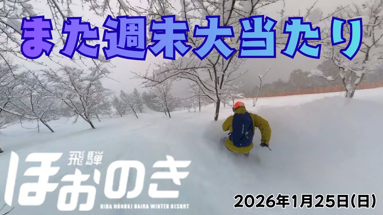 また週末大当たり！【ほおのき平スキー場】(2026年1月25日) 
