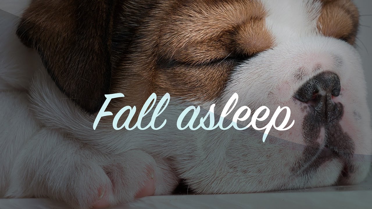 M&eacute;ditation Pleine conscience - Mindfulness meditation - Falling asleep meditation