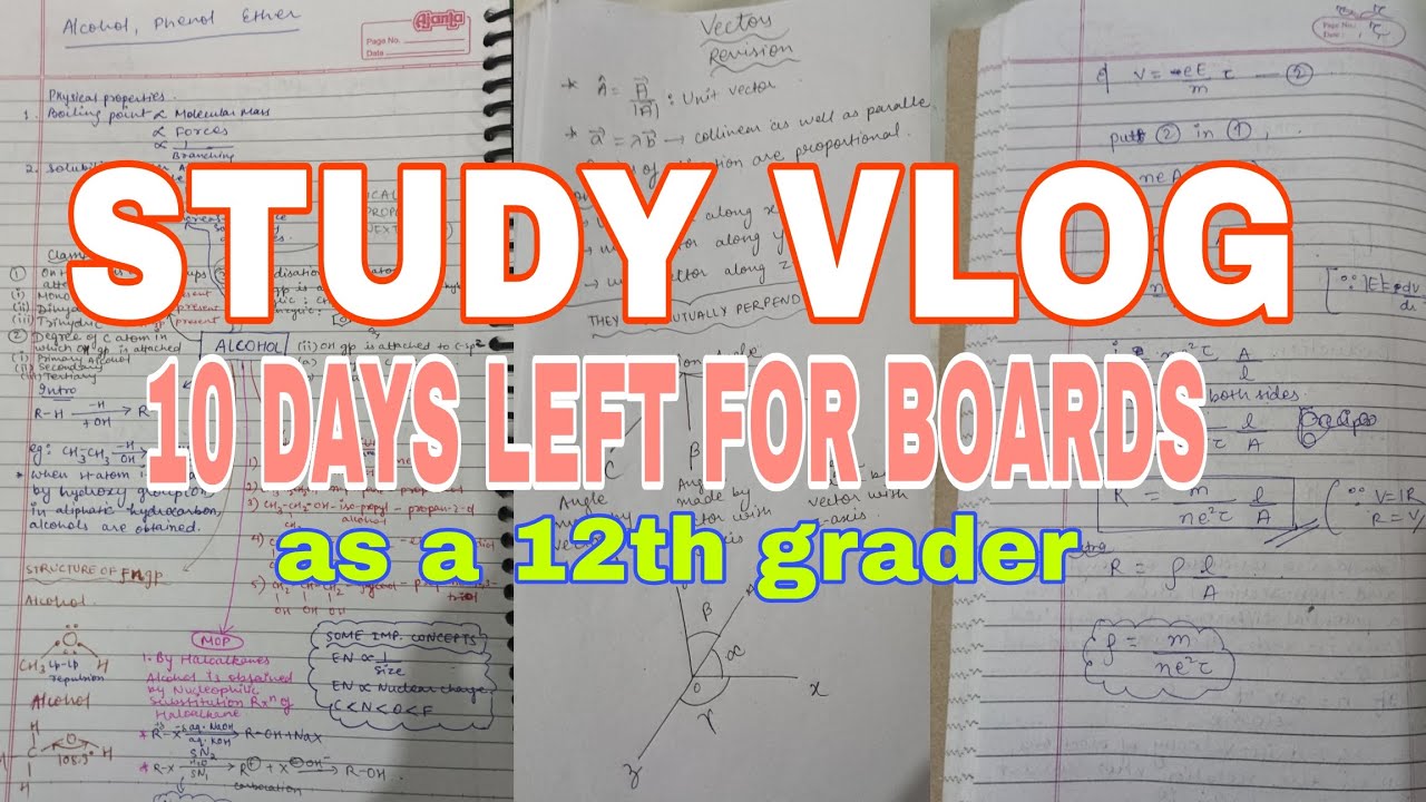 10 days left for board exam😭🤯💀 || Study Vlog as 12th grader(PCM+CS) 😇😇