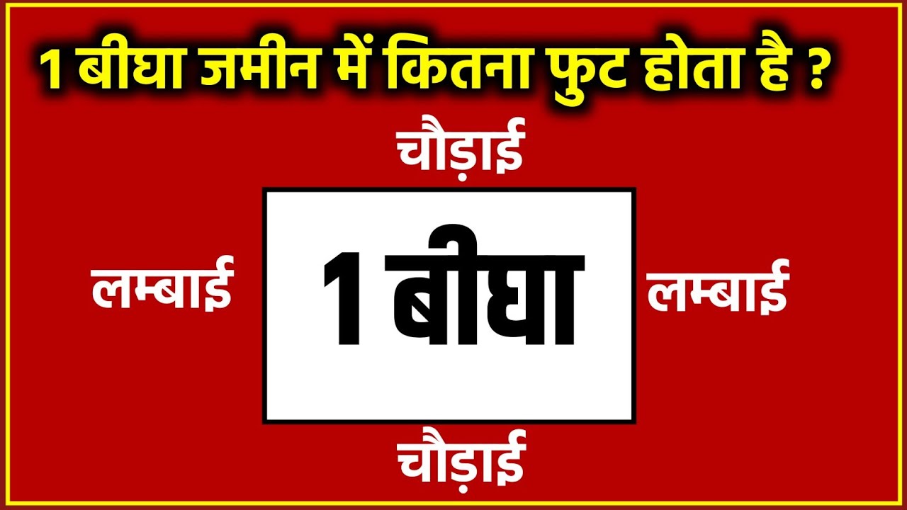 1 बीघा मे कितना फुट होता है? | 1 bigha me kitna foot hota hai | जमीन नापना सीखें | Jk Campus