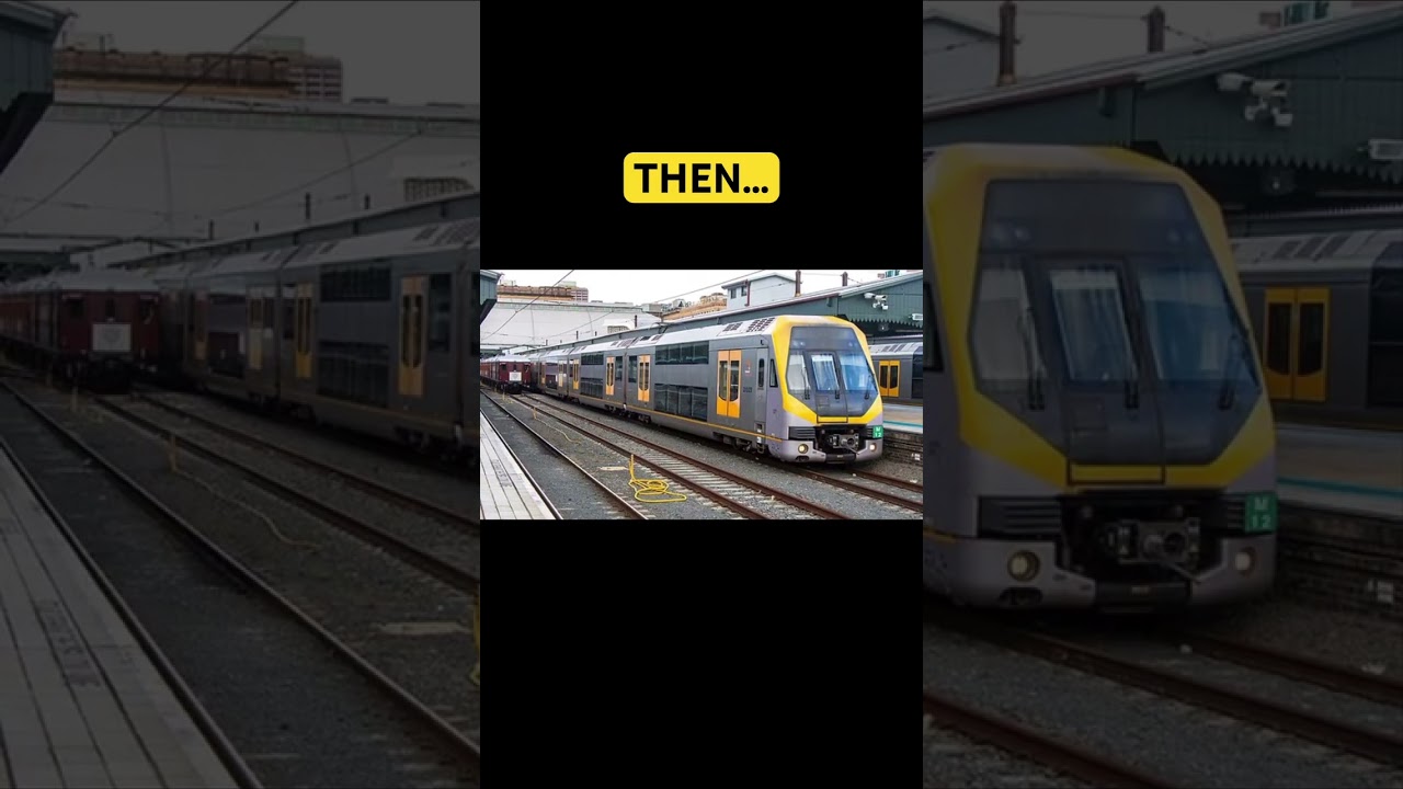 The older fleet of Sydney trains