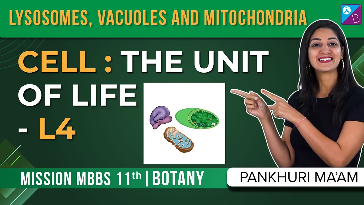 Lysosomes and Vacuoles  -  Cell The Unit of Life Concepts (L4) | NEET 2024 Biology Exam