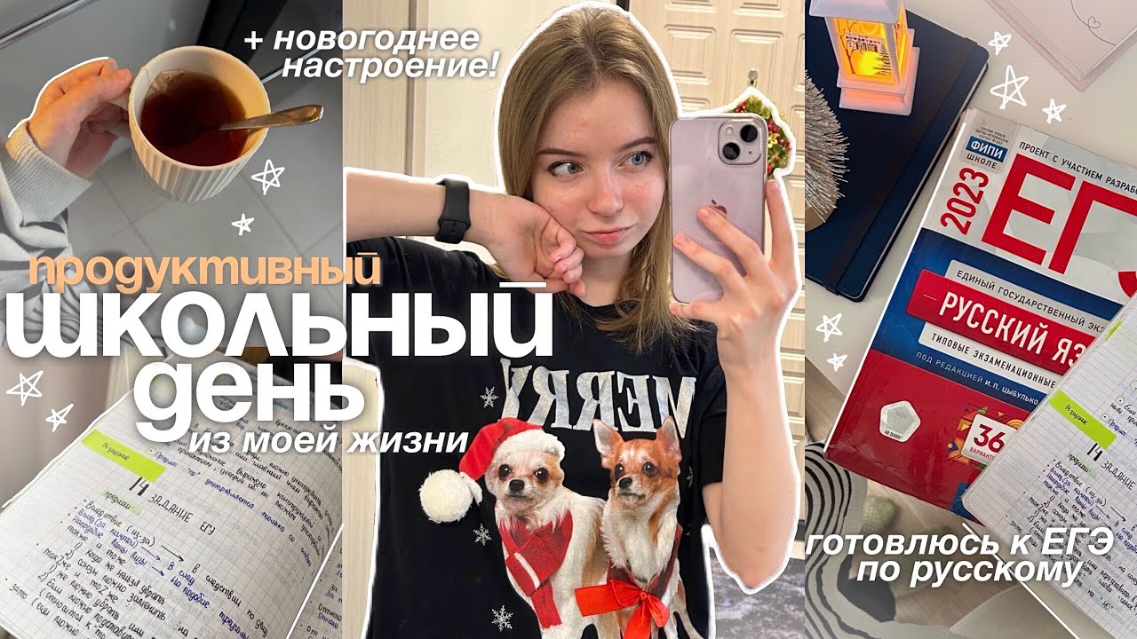 мой ПРОДУКТИВНЫЙ день / 🫶🏼 STUDY WITH ME! готовлюсь к ЕГЭ, поездка, новогоднее настроение 🎄✨🤍
