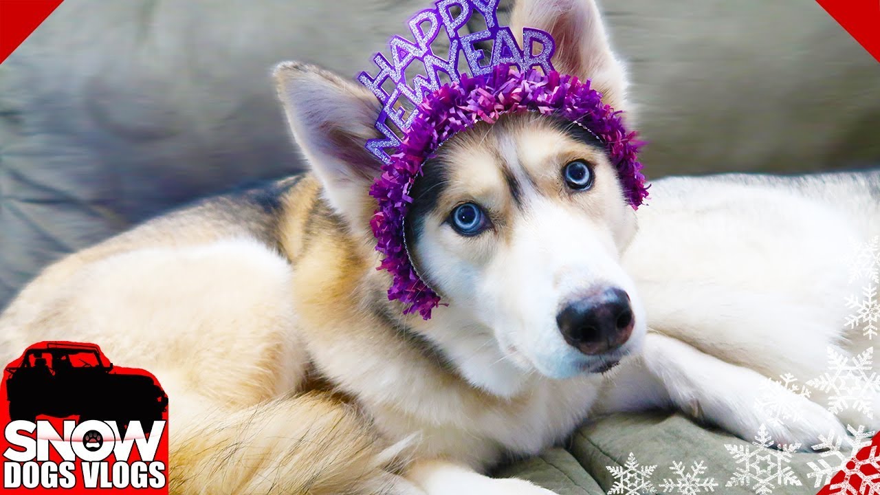 Let's Celebrate the New Year !