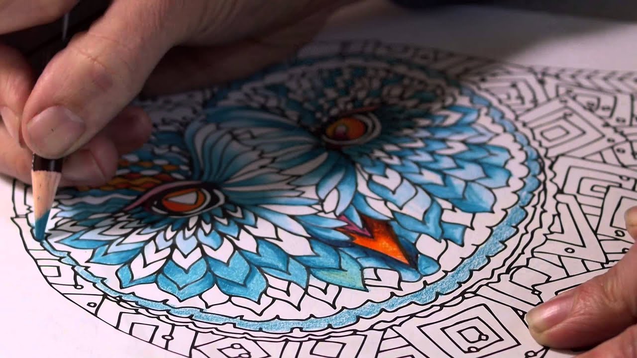 Derwent Unwind in the Wilds Colouring Book - Full Version