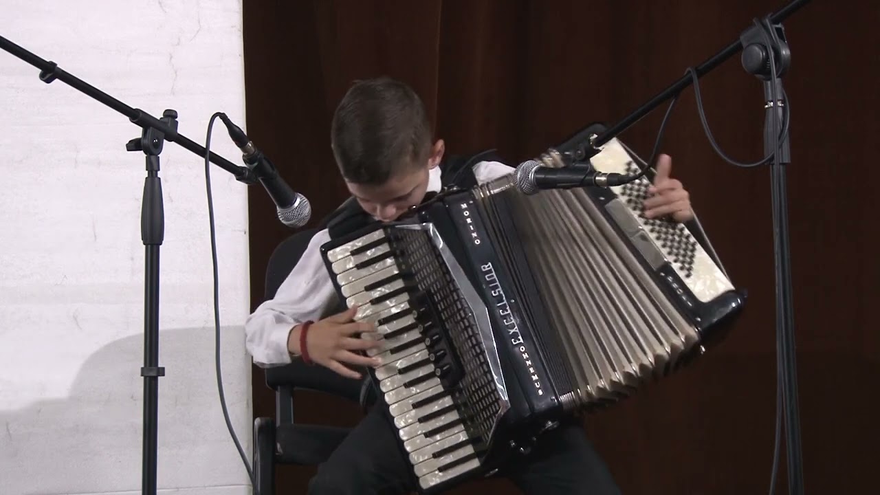 Prva harmonika Vojvodine-Ivanovo 2024 (petlići) –  Milan Nedeljković