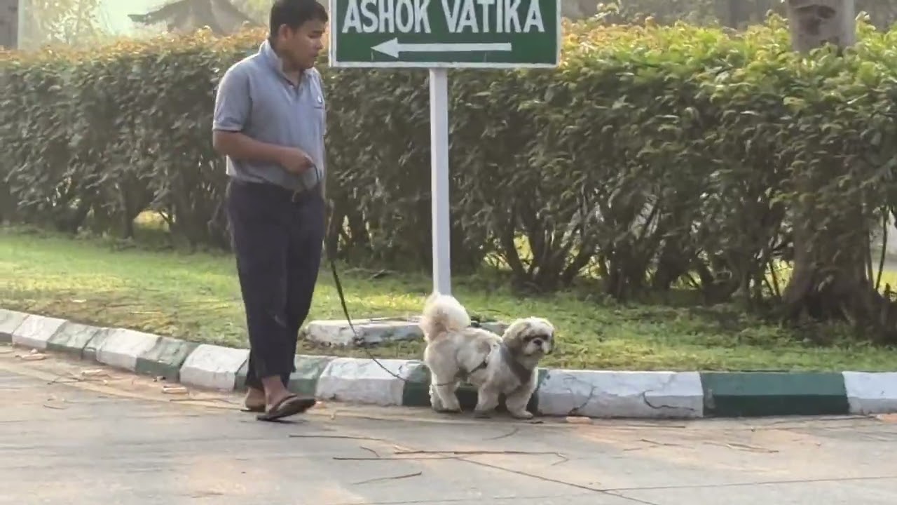 Virtual Walk - Jaypee Greens Land 2