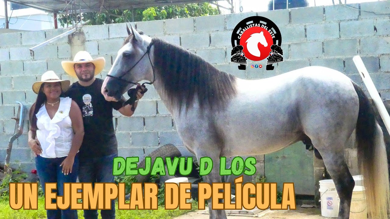 ISAURY DE LOS SANTOS NOS CUENTA LA HISTORIA DE UNO DE LOS EJEMPLARES CON MAS FUTURO EN RD