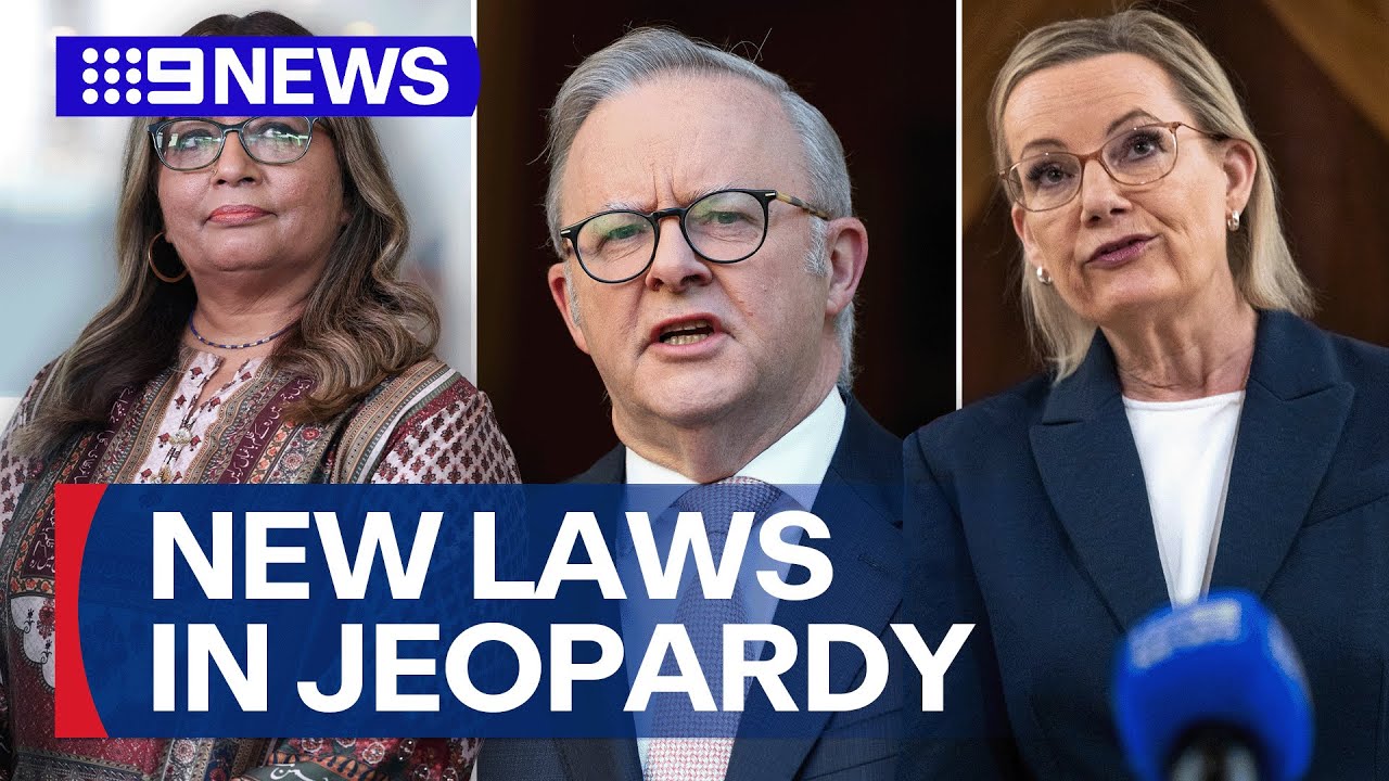 Progress of hate speech laws suffers major blow | 9 News Australia