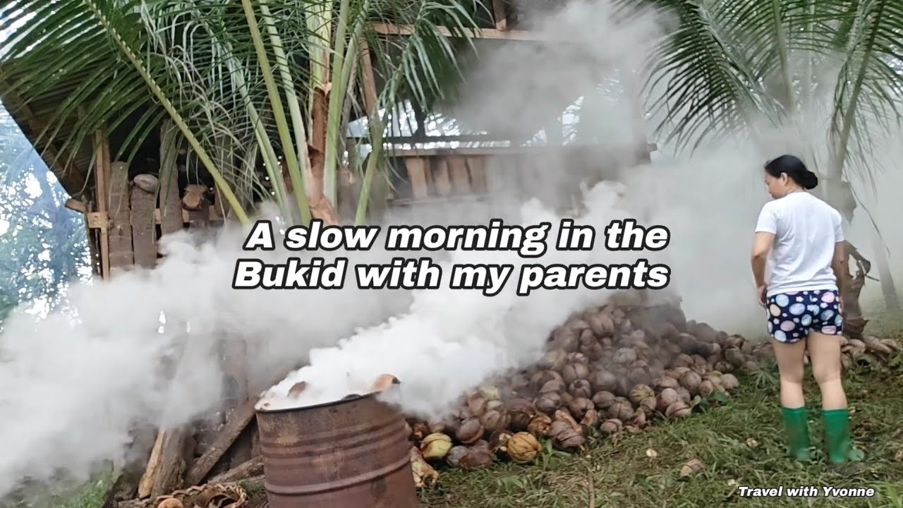 A slow morning in the Bukid with my parents / koprasan & Ulingan sa Lanao del Norte Yvonne Bautista 