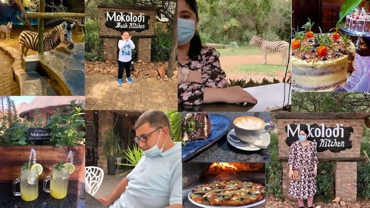 Mokolodi Bush Kitchen.The Mokolodi Experience.why You Should Visit Mokolodi Bush kitchen Restaurant