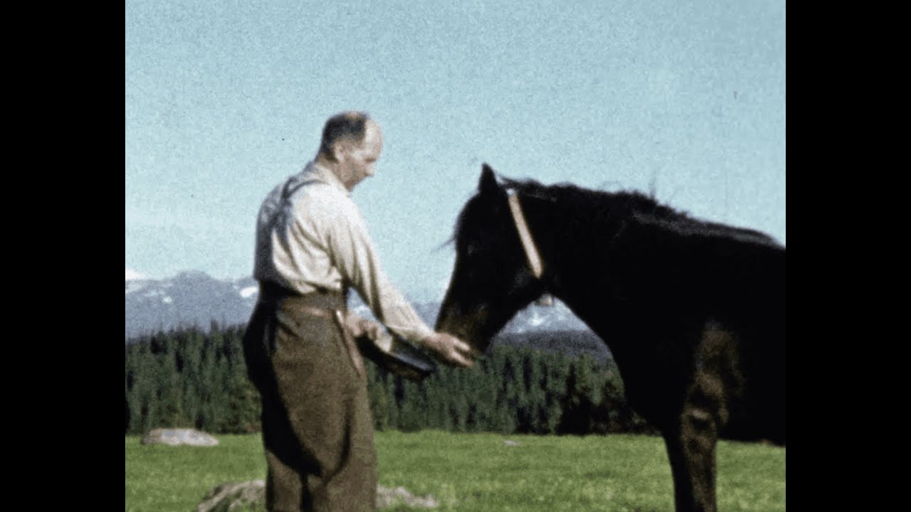 Bønder og bondeliv i Hegra, en film fra ca 1960