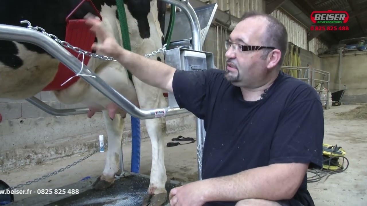 117FR   Métier à bovin électrique