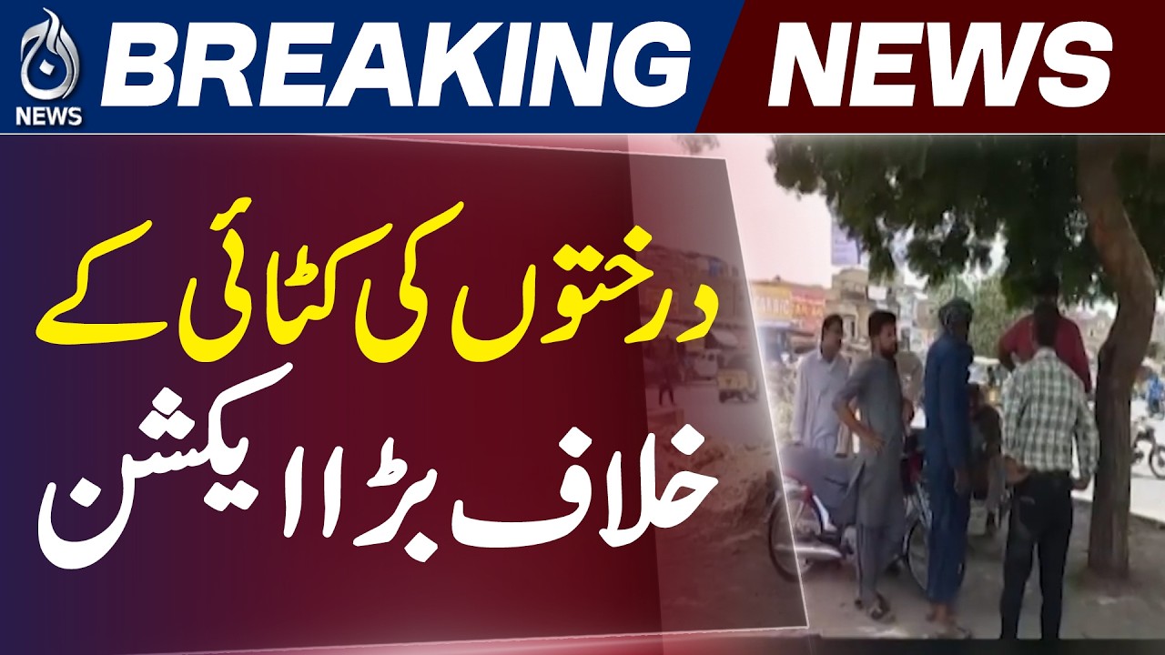 Karachi Tree Cutting Case | Illegal Tree Cutting Arrests | Environmental Crime Action - Aaj News