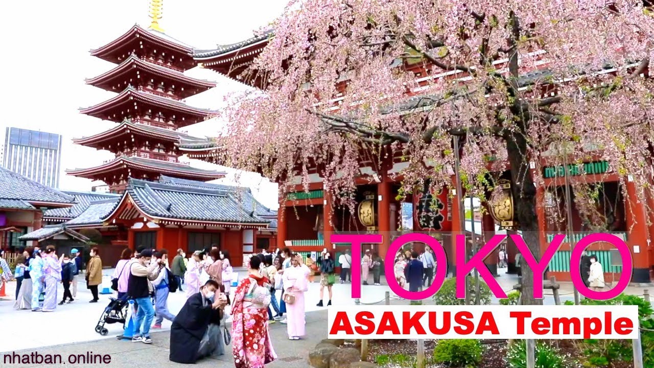 Kh&aacute;m ph&aacute; ch&ugrave;a nổi tiếng nhất Tokyo Asakusa - Du lịch Nhật Bản | #japanvlog #explorejapan #4k