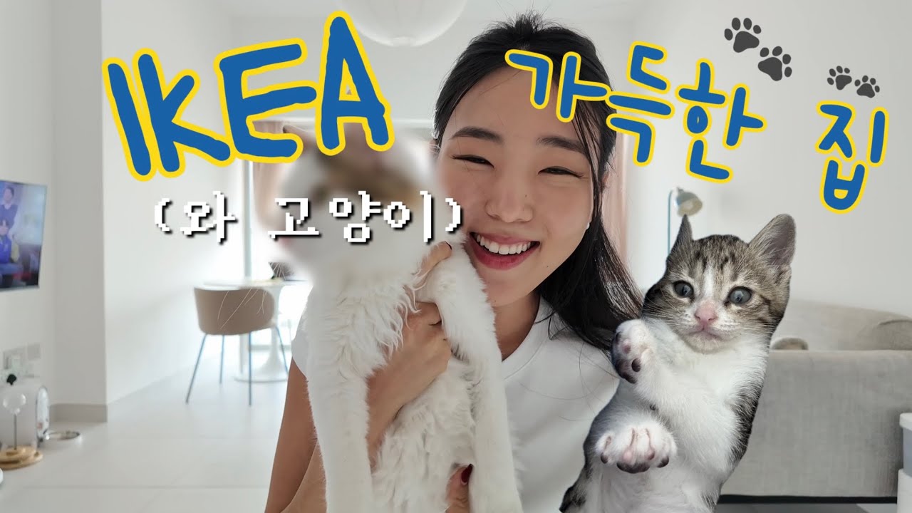 🏠두바이 랜선 집들이💙💛 이케아로 꾸민 집 보러올래요? (Feat. 동거묘 소개)