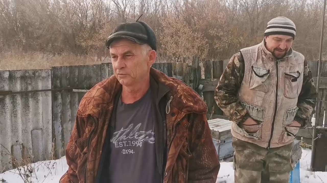 Почему пчеловод выбирает Бакфаст?