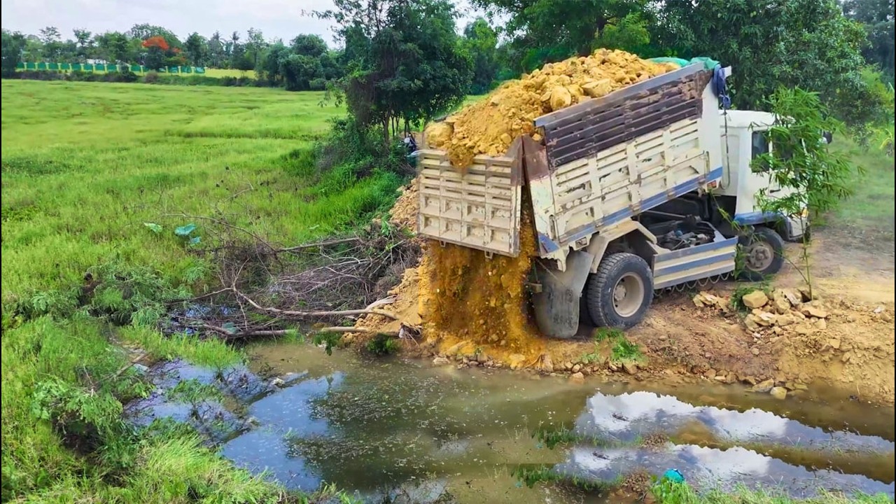 Wonderful Started New Project!5TDump Truck Filling Land Deep Lake Expert Skill Dozér D21 PushingSoil