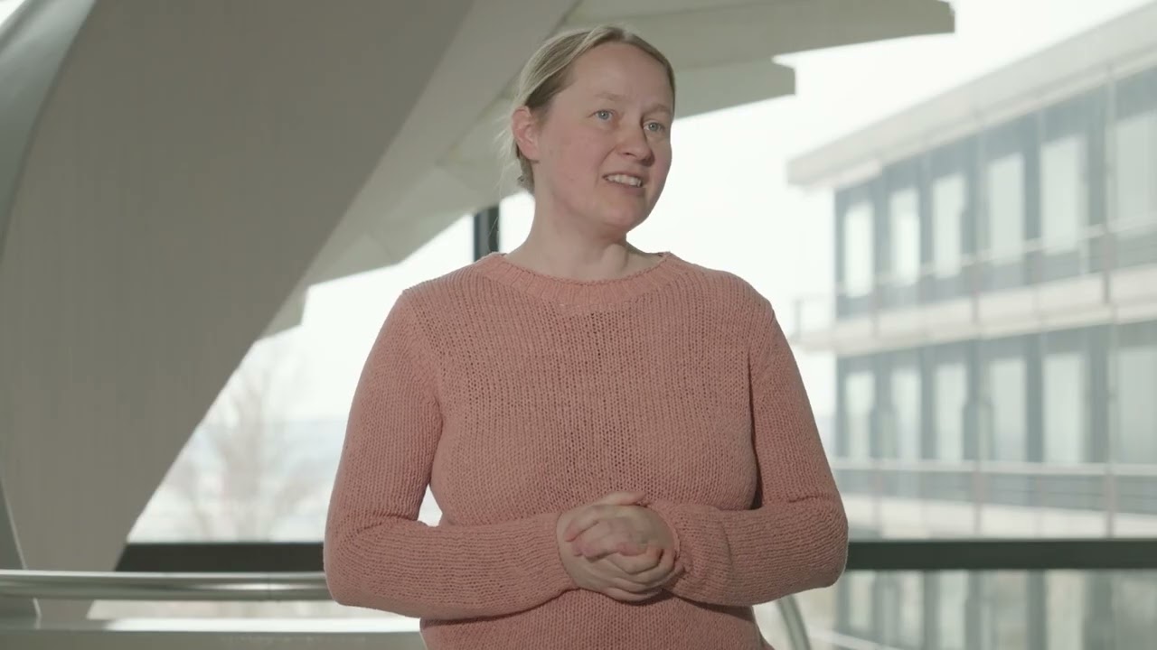 How Particle Physics works: Episode IV