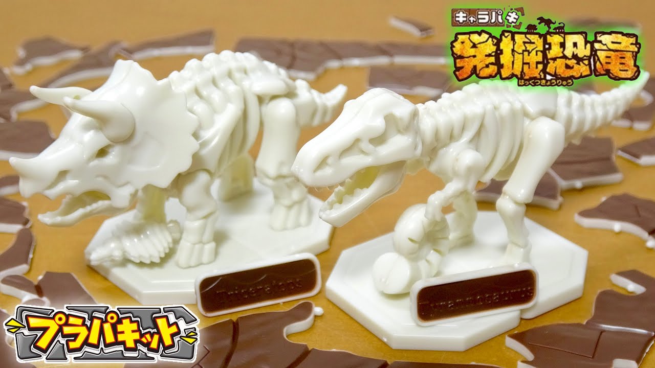 パキッと割ってパーツを発掘! キャラパキ発掘恐竜 プラパキット ティラノサウルスとトリケラトプスを組み立て