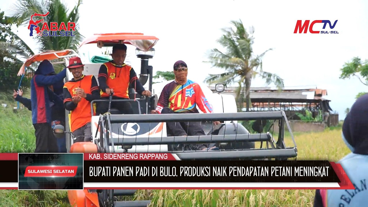 BUPATI PANEN PADI DI BULO, PRODUKSI NAIK PENDAPATAN PETANI MENINGKAT
