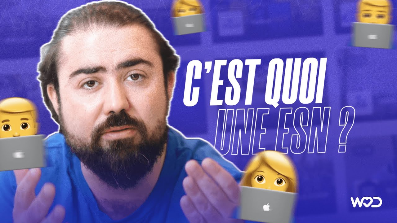 C'est quoi une ESN ?