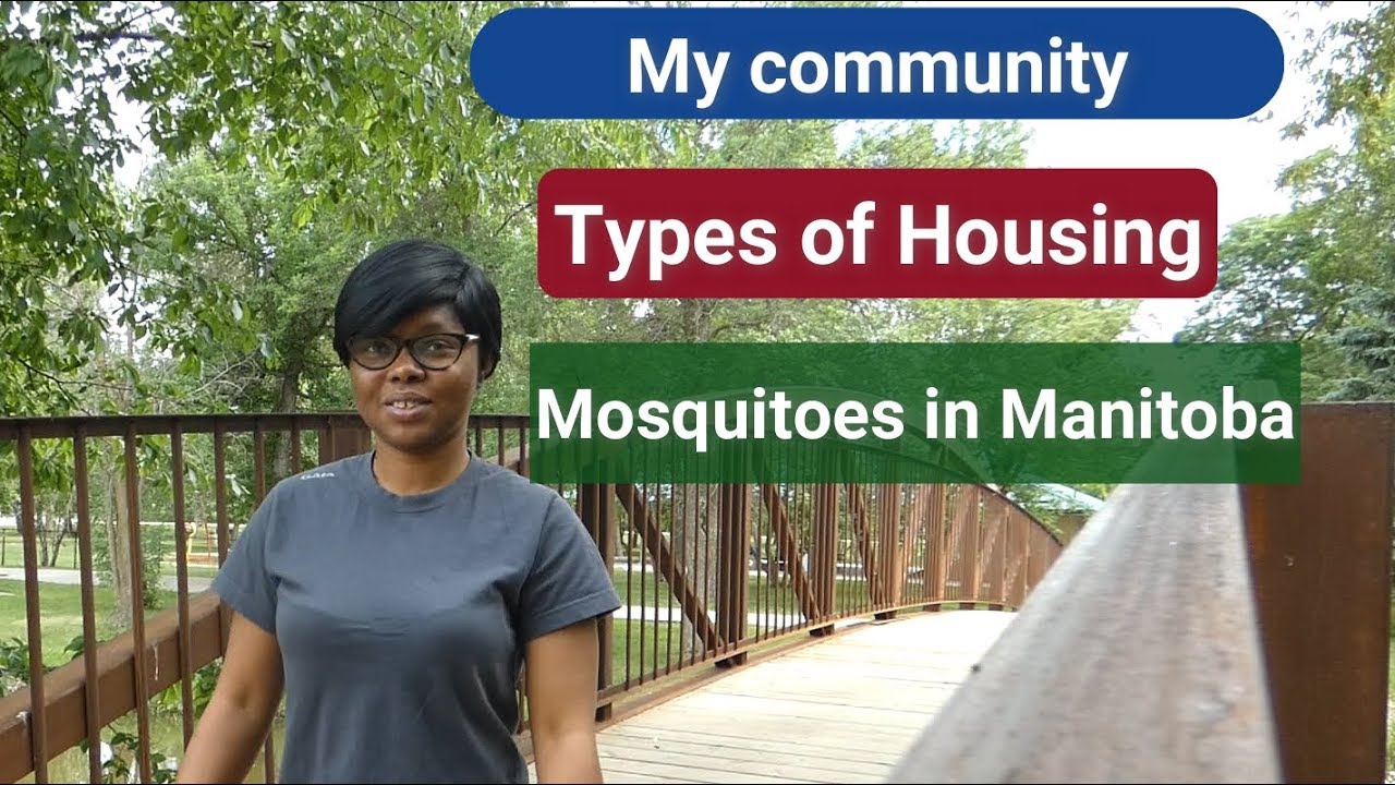 My community, types of housing, mosquitoes in Manitoba