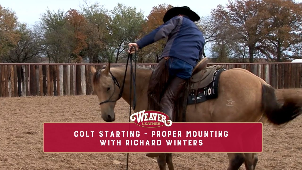 Colt Starting - Proper Mounting with Richard Winters