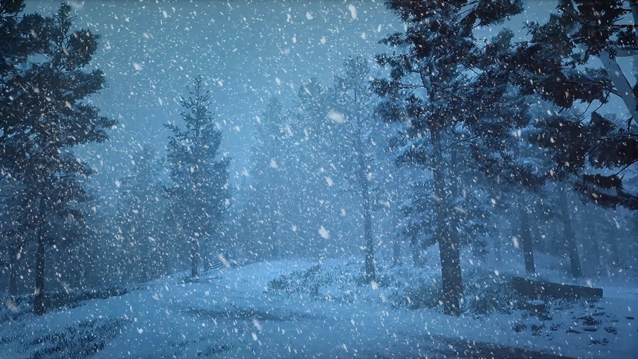 Relaxing Snowfall Sounds in a Pine Forest ❄️ 3 Hours Winter Ambience for Sleep, Study