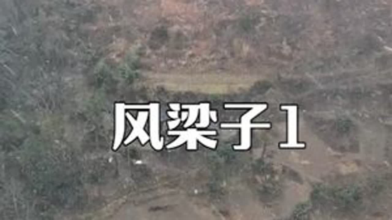 冬季的大山里也全是宝，雪中进山的走访 #大山里的原生态 #乡村生活