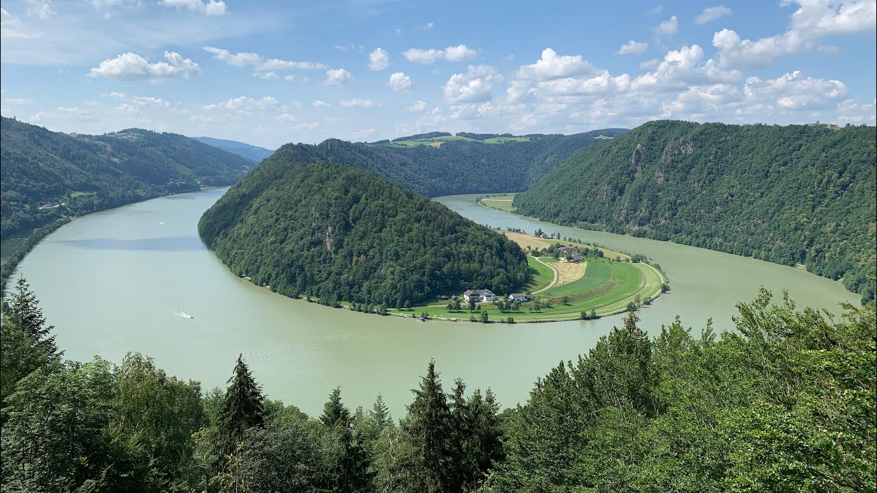 Donauschlinge Schl&ouml;gen