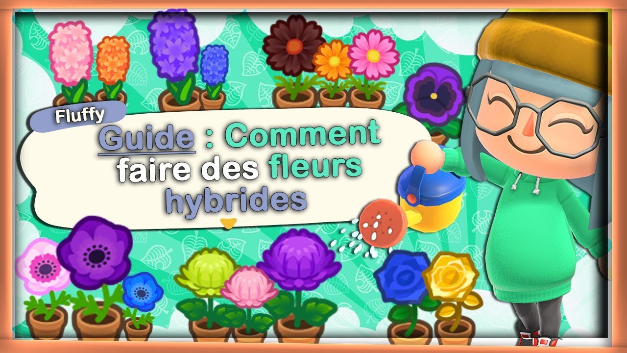 ➤GUIDE : COMMENT FAIRE DES HYBRIDES DANS ❰ANIMAL CROSSING NEW HORIZONS❱ !