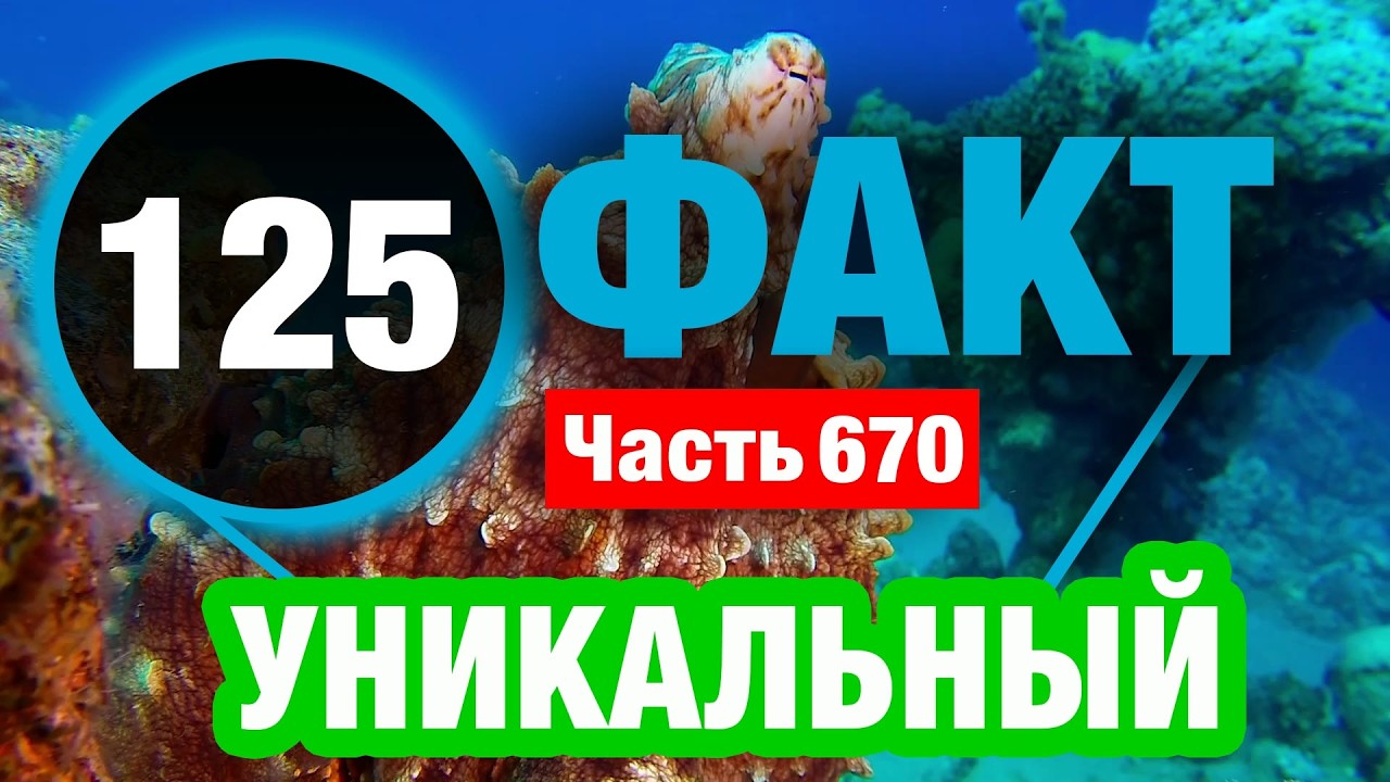 125 Великолепный Факт В Который Сложно Поверить