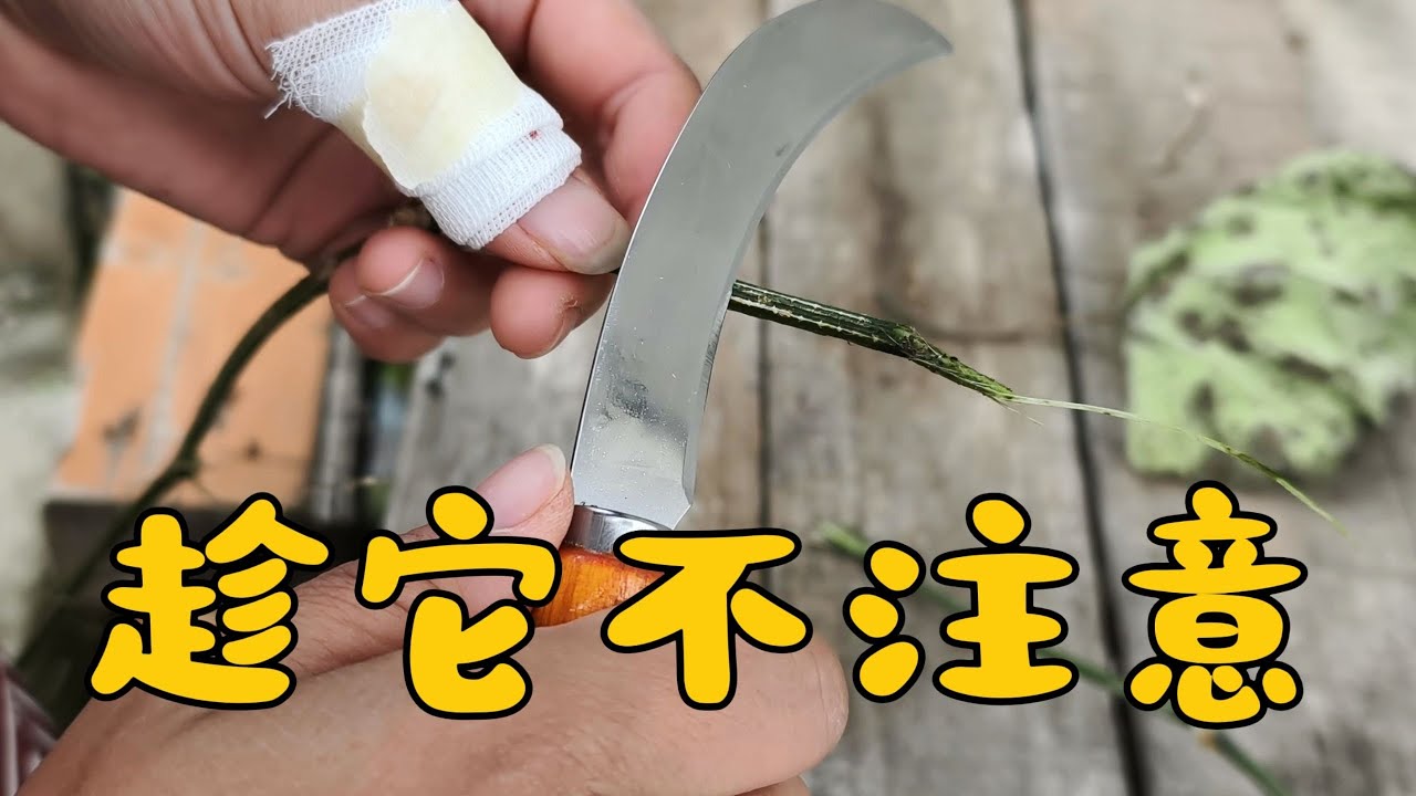 不试一下，怎么知道呢！