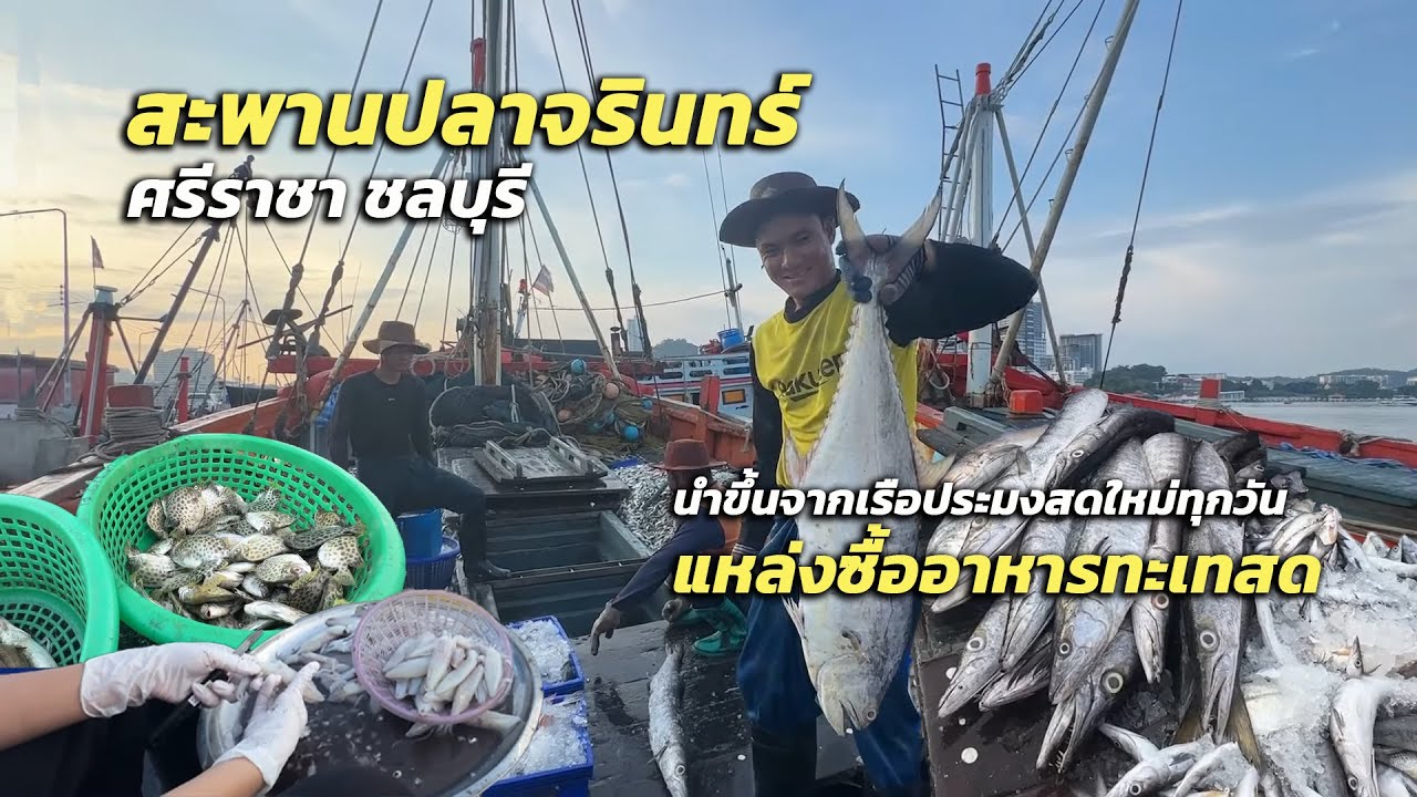 แหล่งซื้ออาหารทะเลสด สะพานปลาจรินทร์ ศรีราชา ตลาดประมงพื้นบ้าน