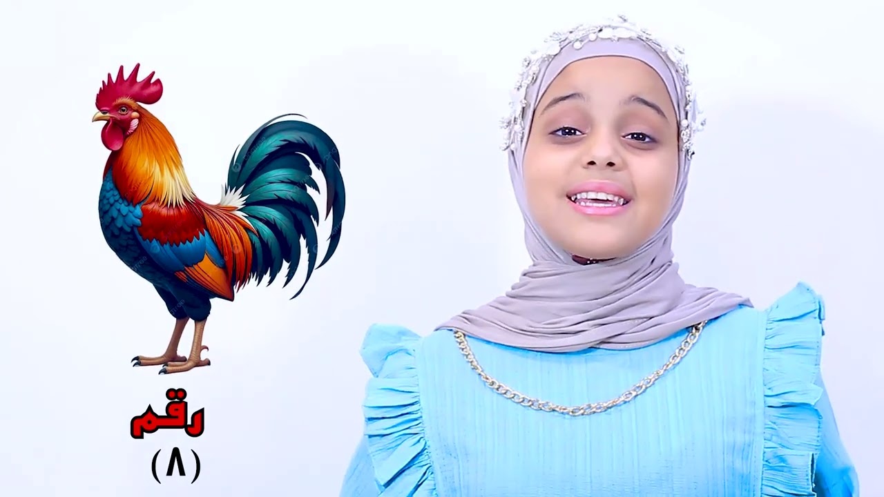 ٦ نوفمبر ٢٠٢٥