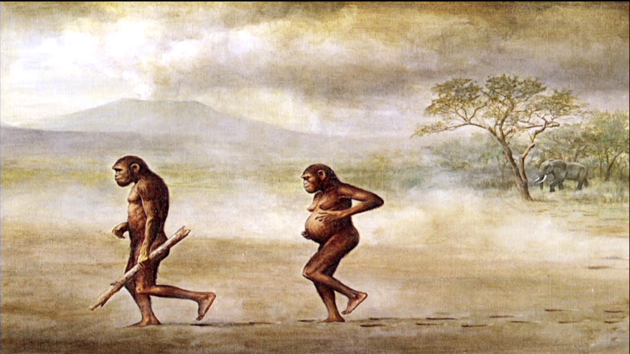 Rethinking Gender in the Paleolithic | Challenging Male-Centric Narratives